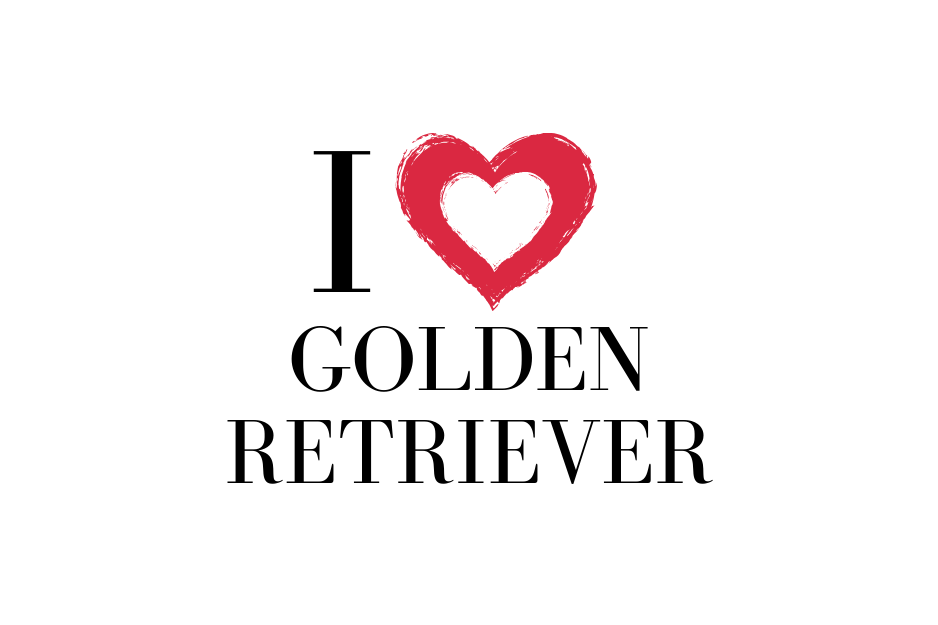 I love Golden Retriever