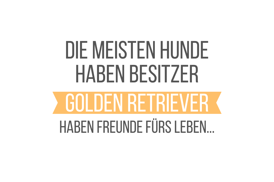 Die meisten Hunde haben Besitzer Golden Retriever haben Freunde fürs Leben...