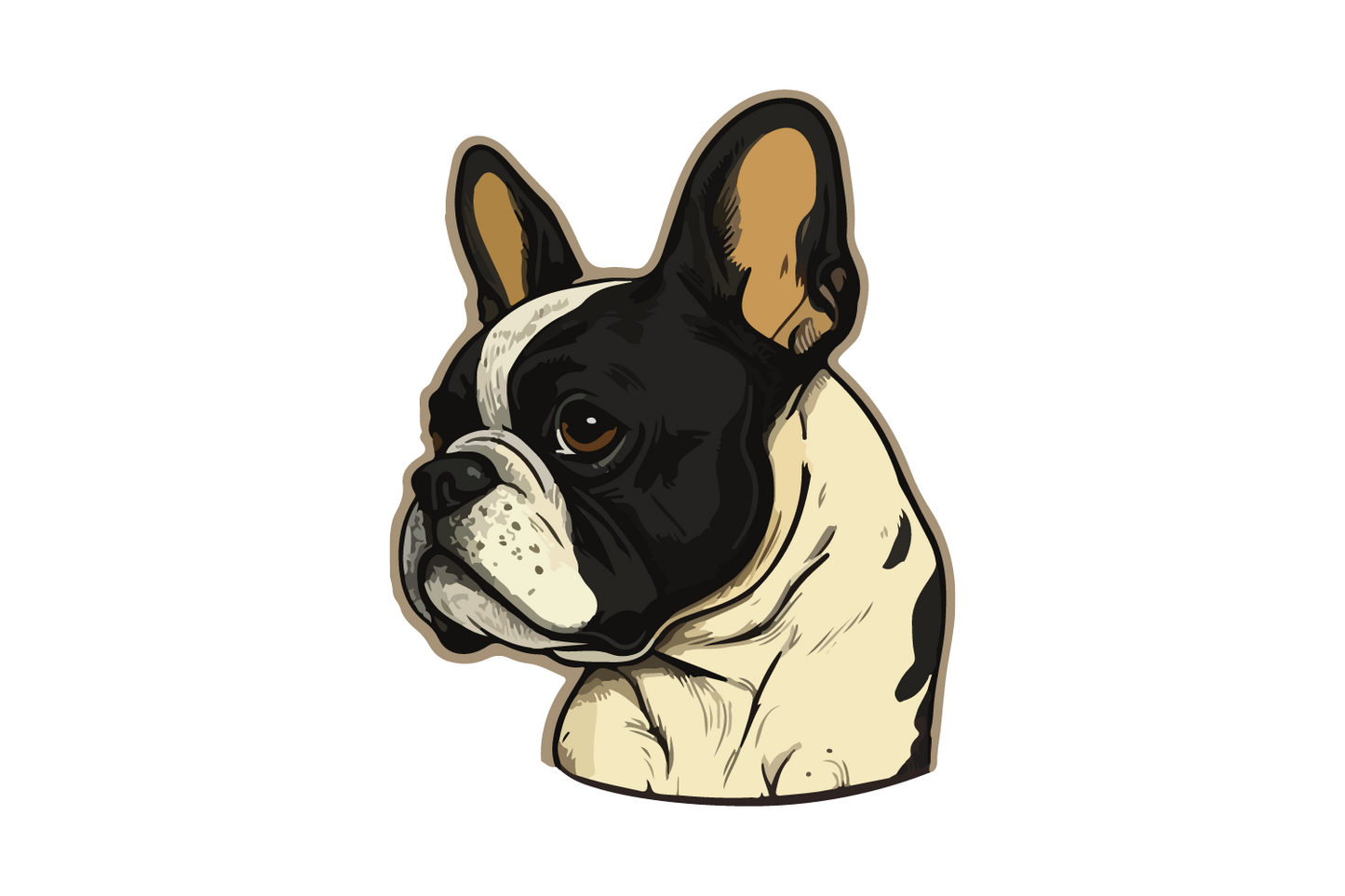 Französische Bulldogge