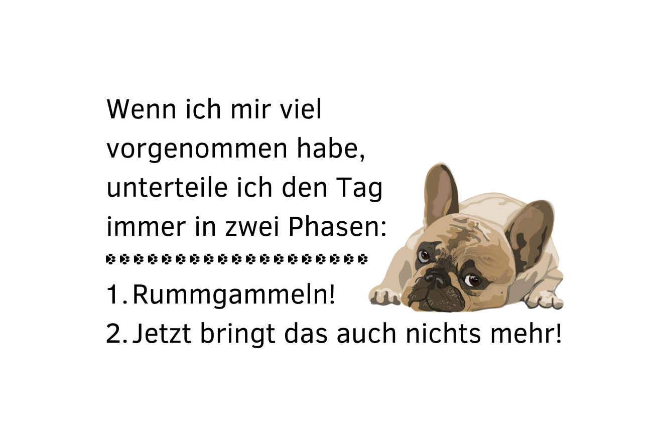Wenn ich mir viel vorgenommen habe, unterteile ich den Tag in zwei Phasen