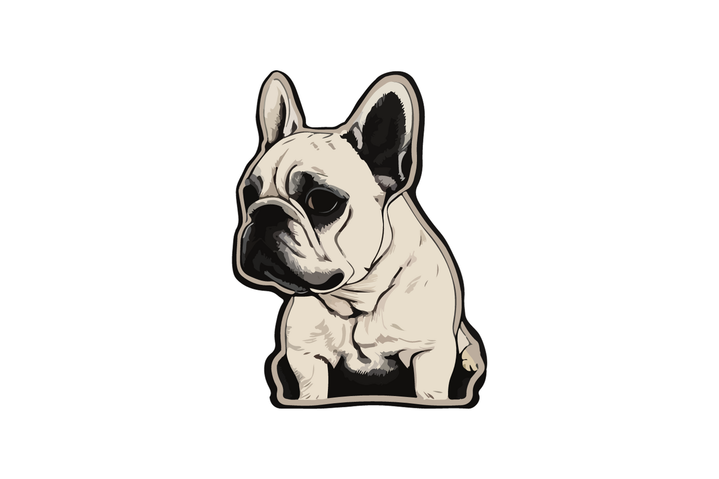 Französische Bulldogge