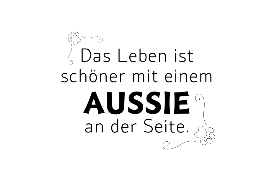 Das Leben ist schöner mit einem Aussie an der Seite.