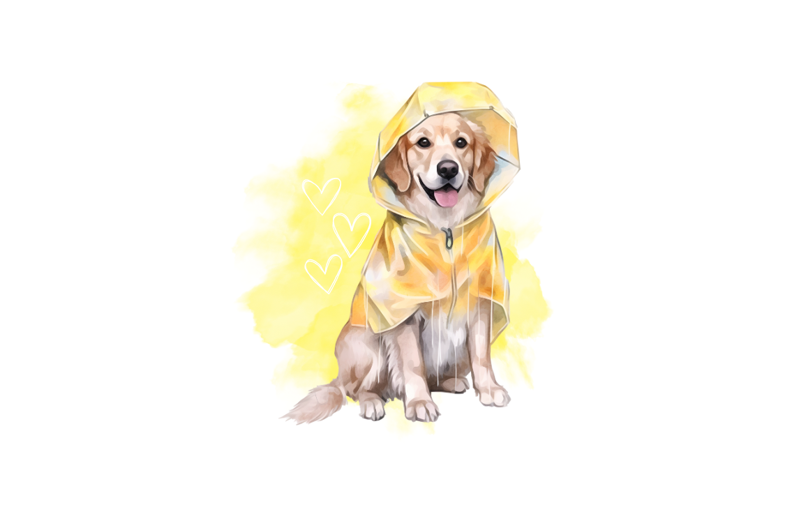 Golden Retriever in Regenjacke