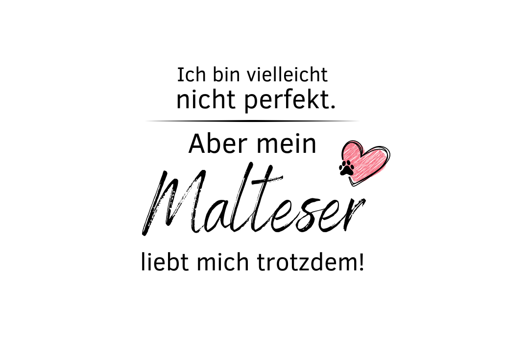 Ich bin vielleicht nicht perfekt. Aber mein Malteser liebt mich trotzdem!