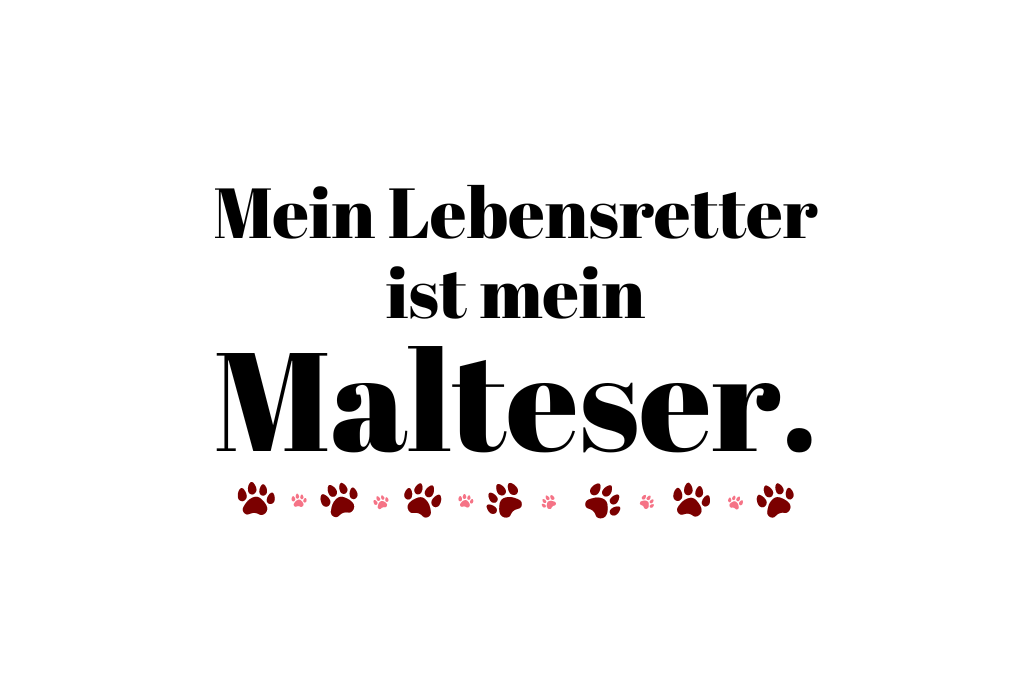Mein Lebensretter ist mein Malteser.