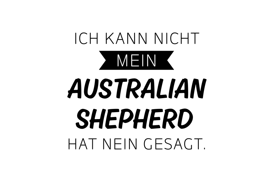Ich kann nicht mein Australian Sheperd hat nein gesagt.