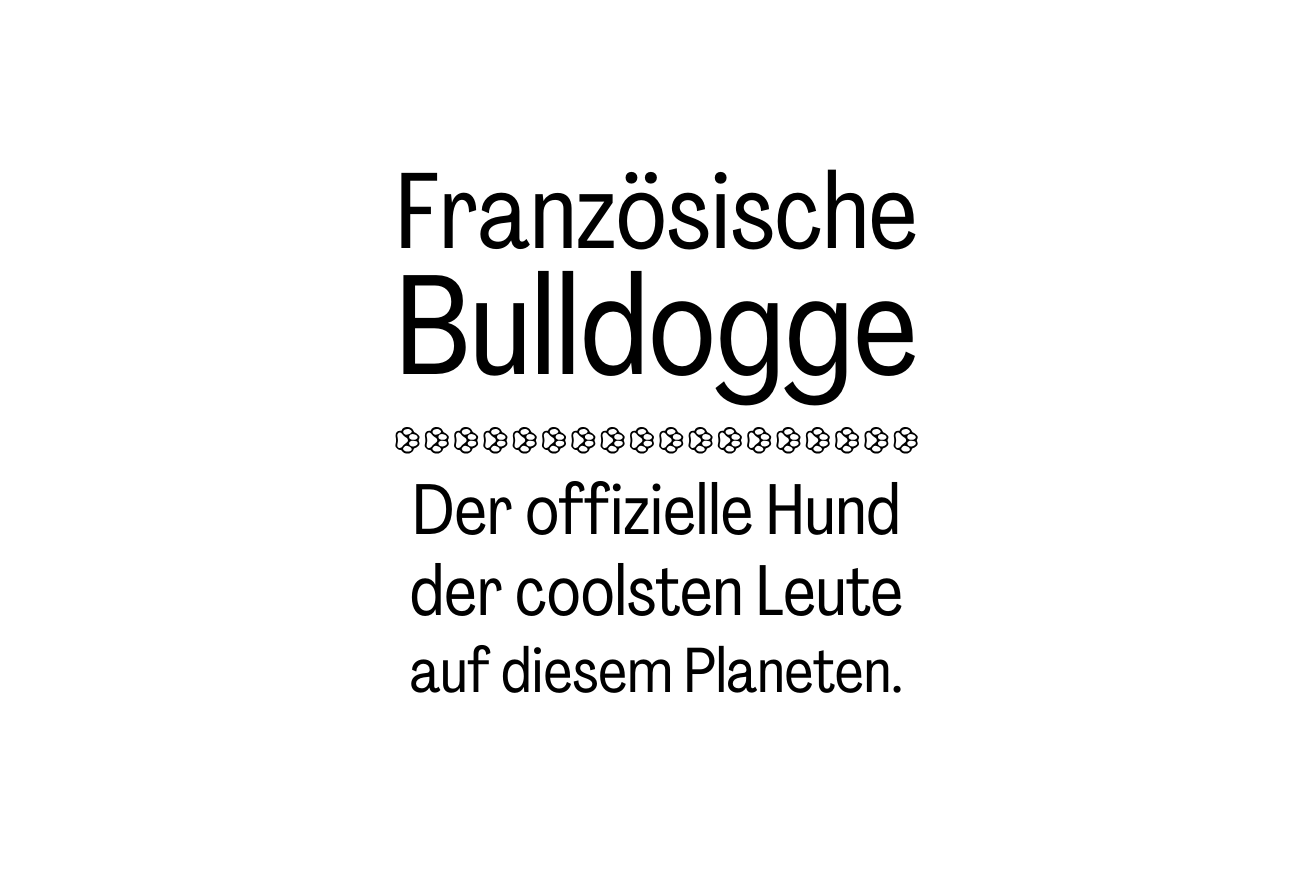 Der offizielle Hund der coolsten Leute auf diesem Planeten.