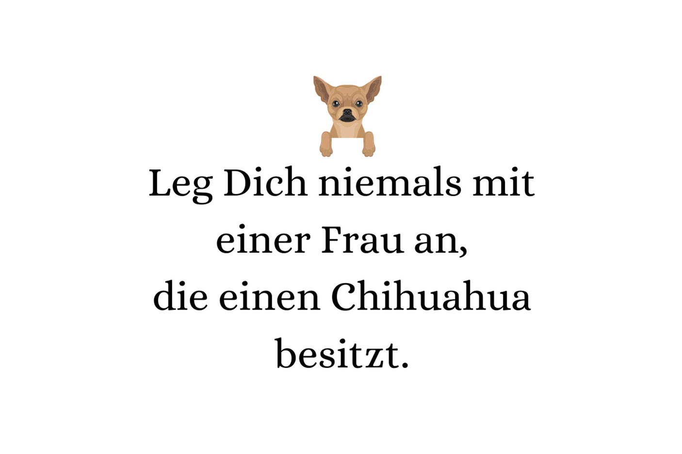 Leg Dich niemals mit einer Frau an, die einen Chihuahua besitzt.