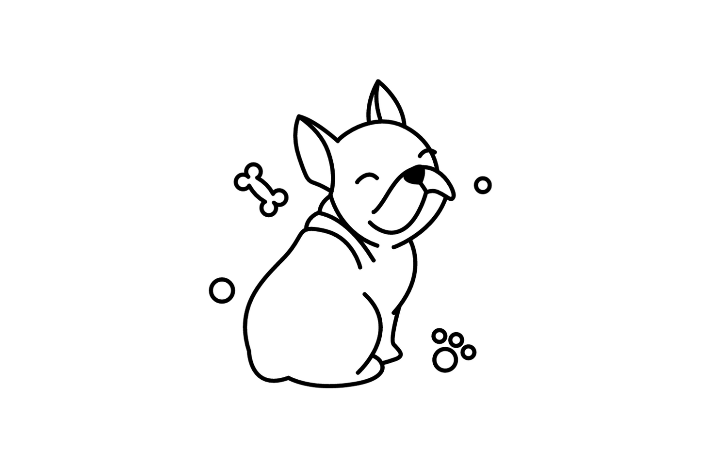 Französische Bulldogge