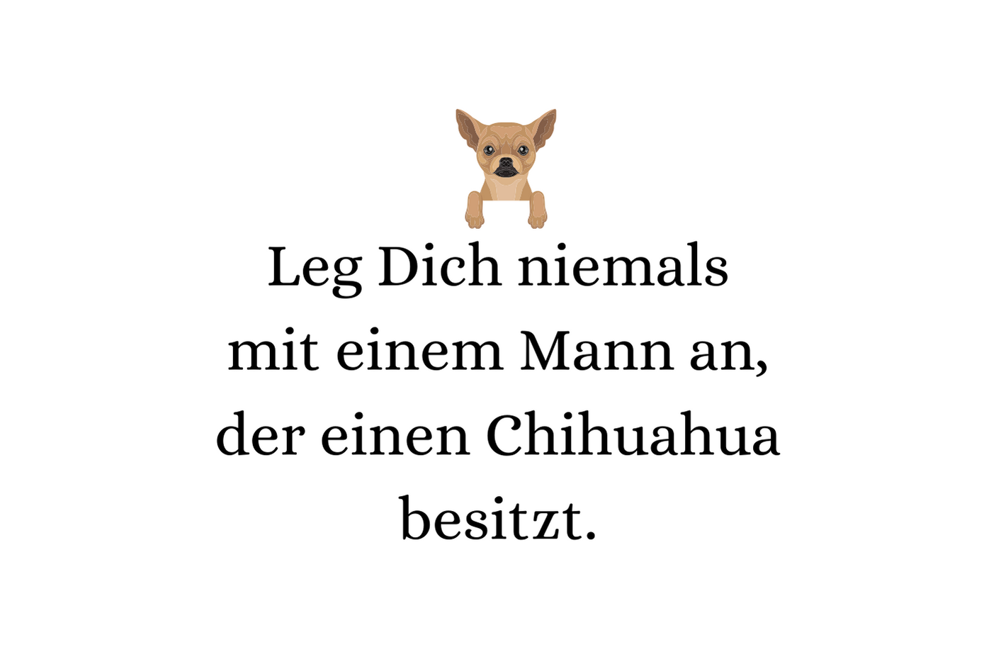 Leg Dich niemals mit einem Mann an, der einen Chihuahua besitzt