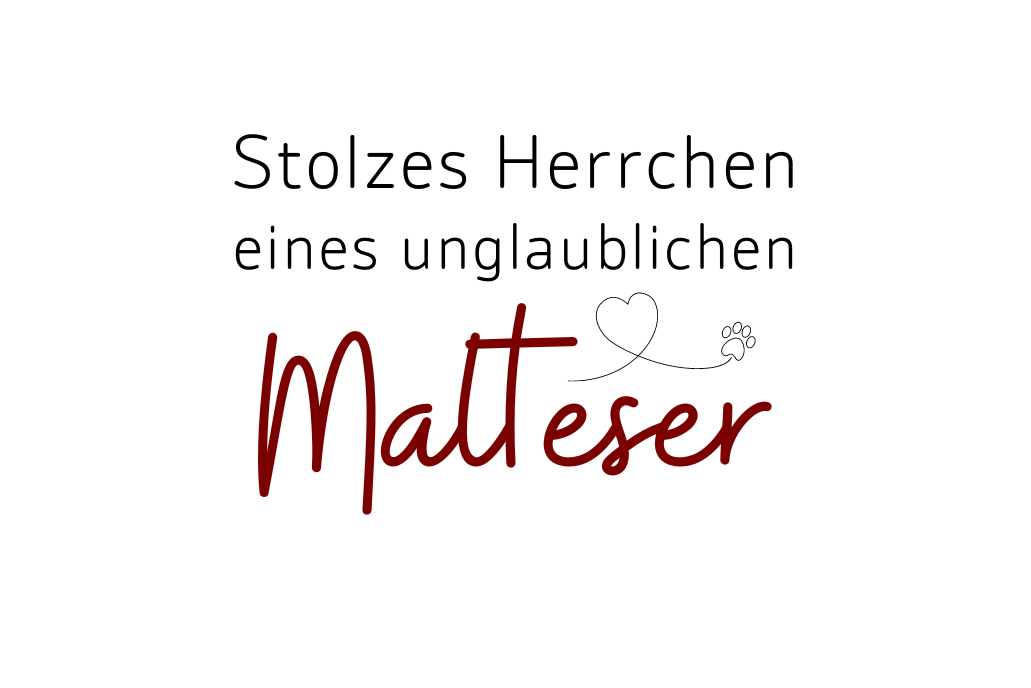 Stolzes Herrchen eines unglaublichen Malteser