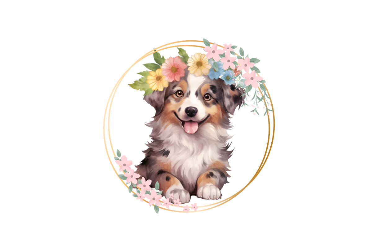 Australian Shepherd Blumen