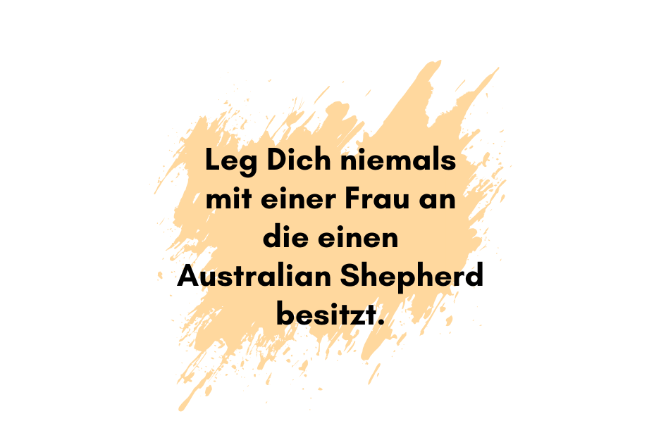 Leg Dich niemals mit einer Frau an die einen Australian Sheperd besitzt.