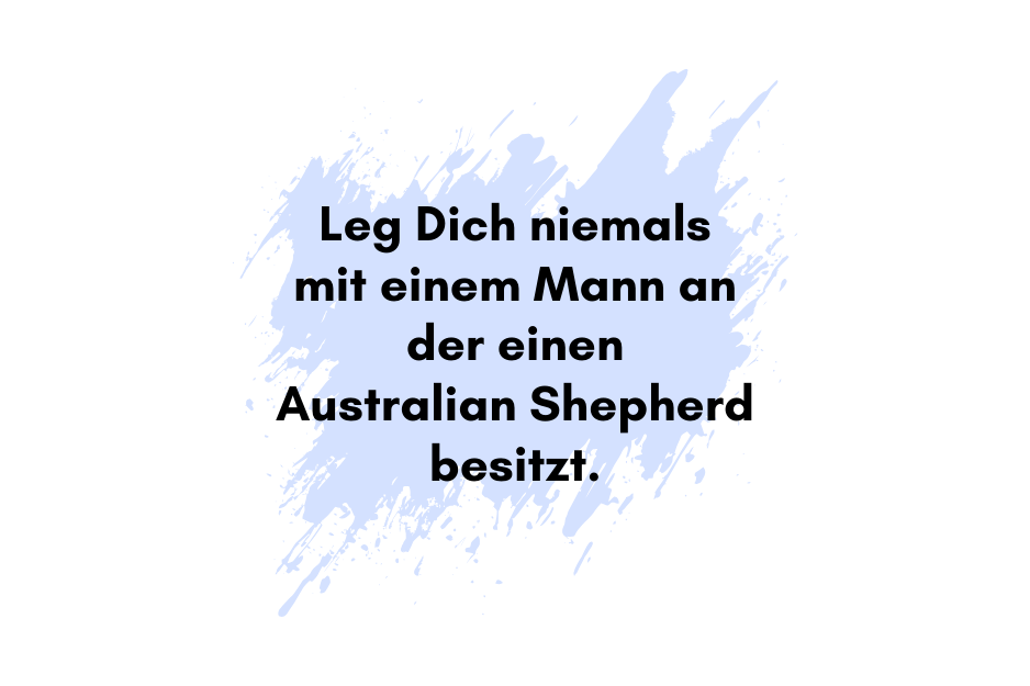 Leg Dich niemals mit einem Mann an der einen Australian Sheperd besitzt.