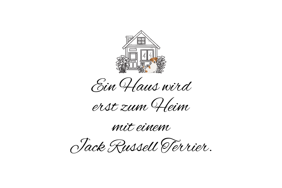 Ein Haus wird erst zum Heim mit einem Jack Russell Terrier.