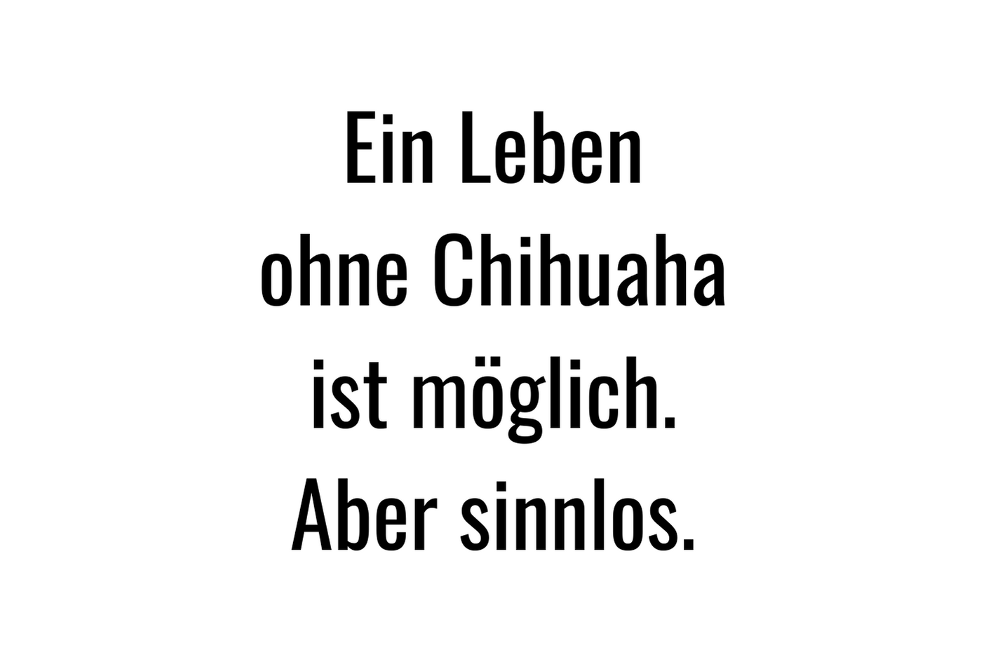 Ein Leben ohne Chihuahua ist möglich. Aber sinnlos.