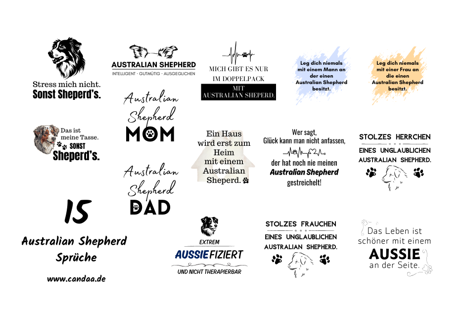 15 Australian Shepherd Sprüche
