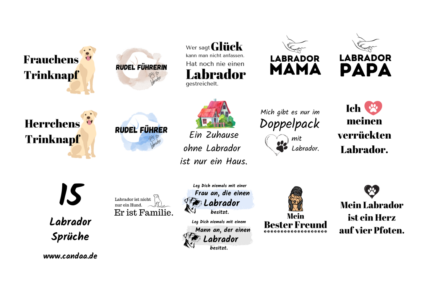 15 Labrador Retriever Sprüche