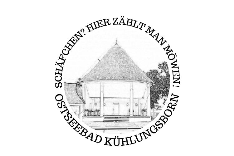 Schäfchen? Hier zählt man Möwen!