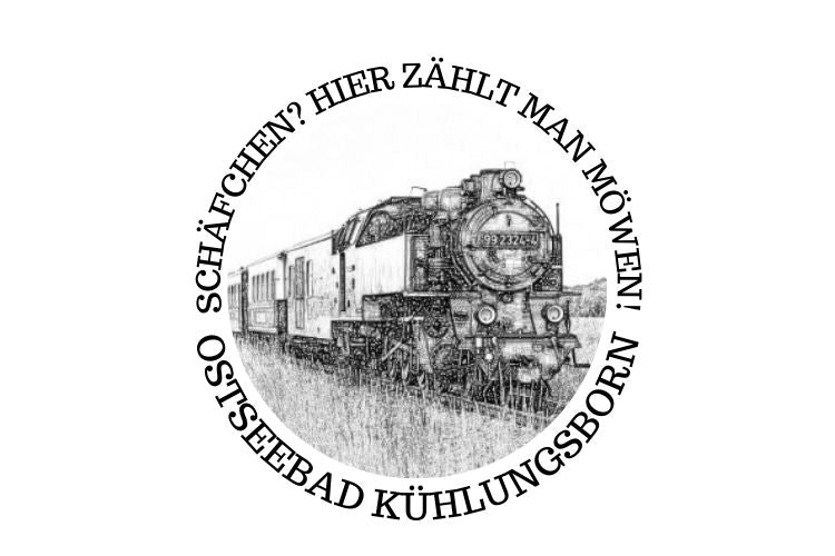 Schäfchen? Hier zählt man Möwen!