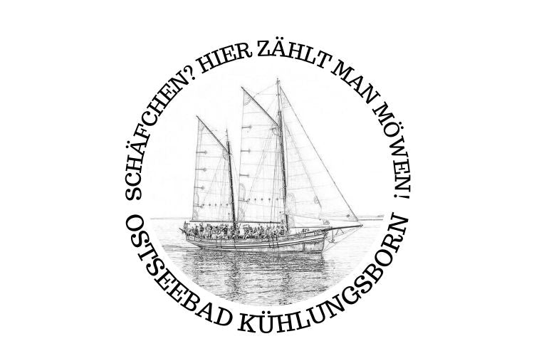 Schäfchen? Hier zählt man Möwen!