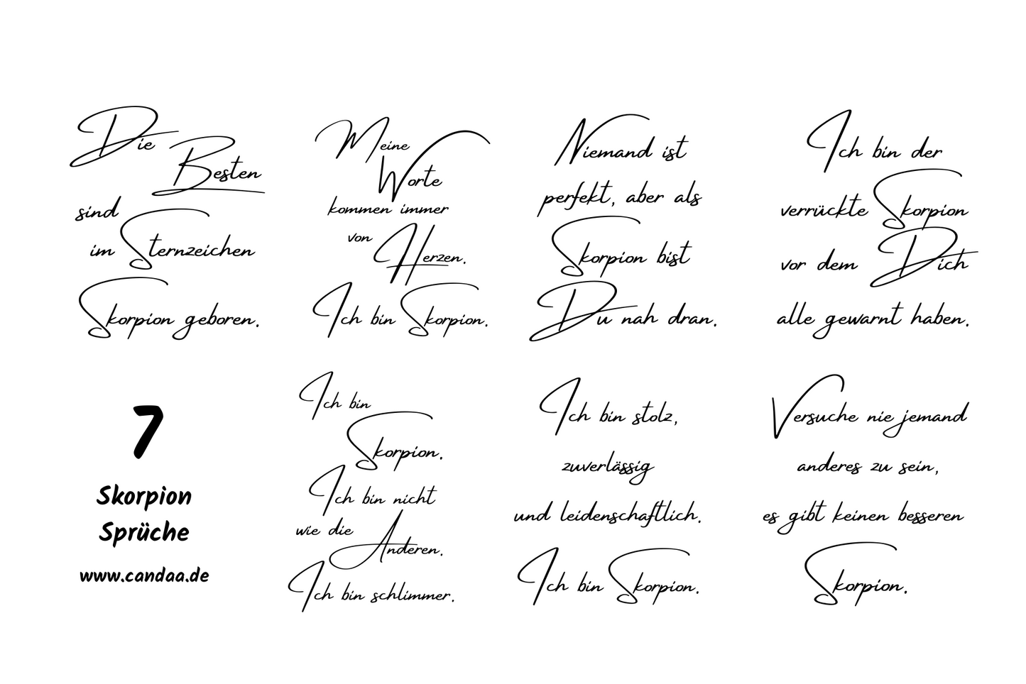 7 Skorpion Sprüche
