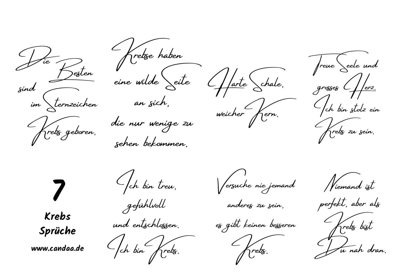 7 Krebs Sprüche