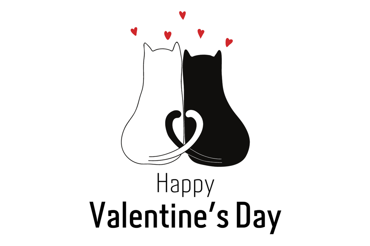 Happy Valentine's Day