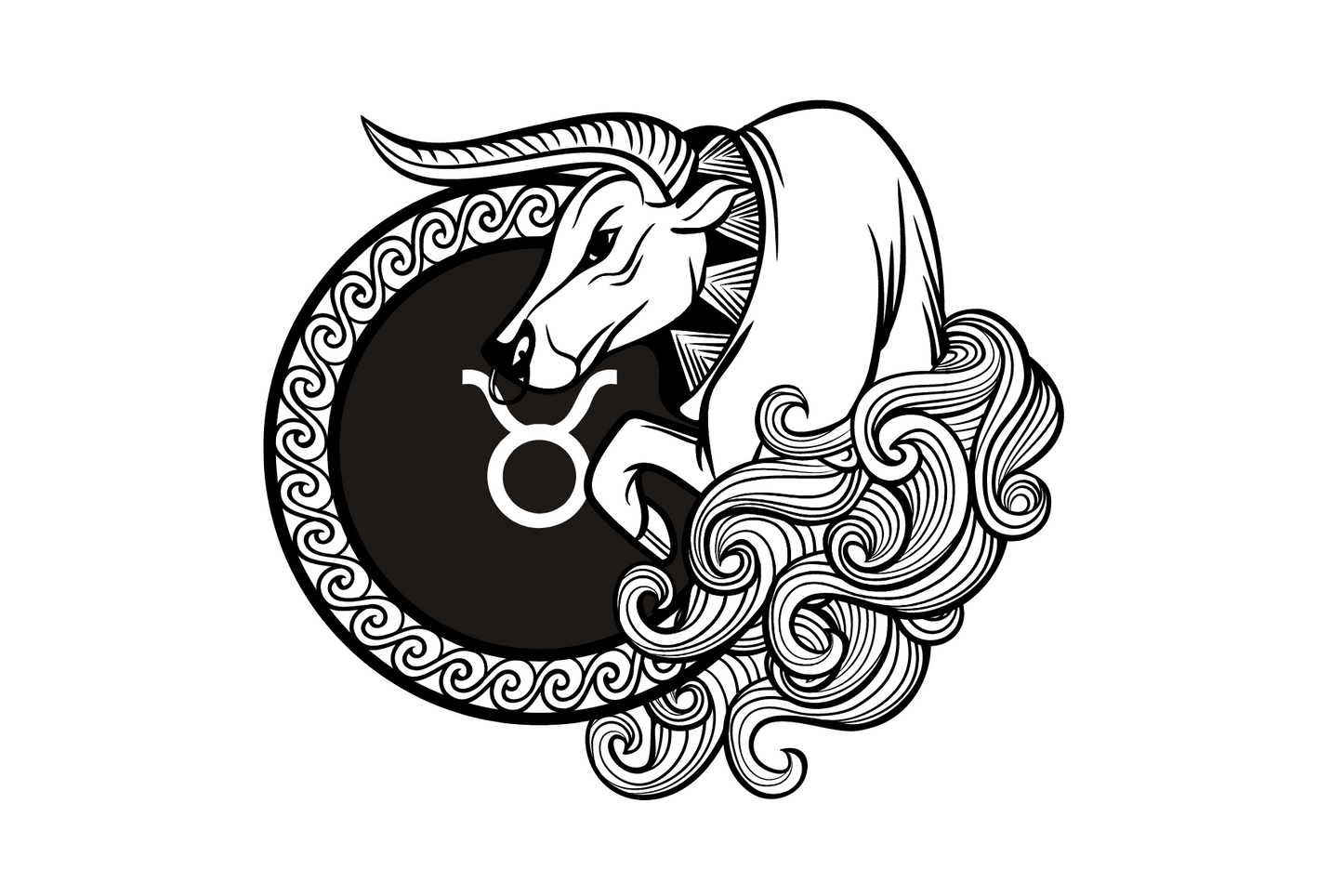 Stier Design