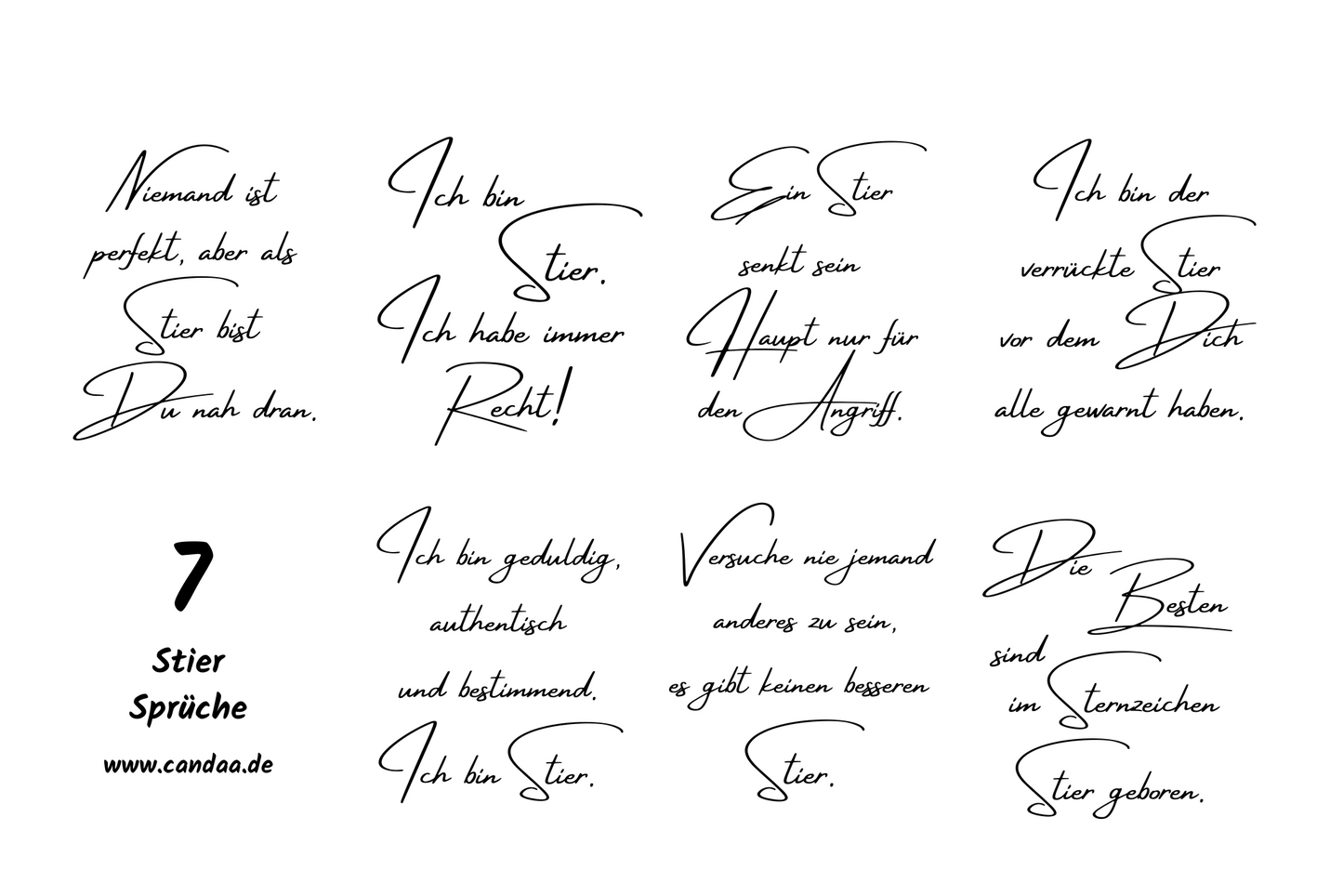 7 Stier Sprüche