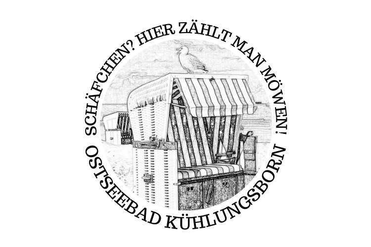 Schäfchen? Hier zählt man Möwen!