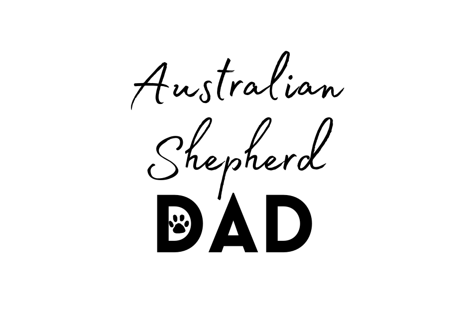 Australian Sheperd Dad