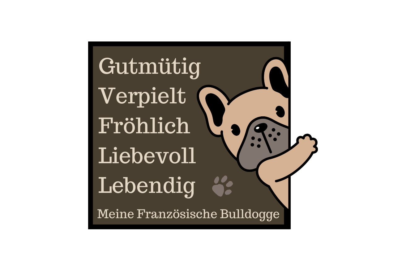 Gutmütig Verspielt Fröhlich Liebevoll Lebendig Meine Französische Bulldogge