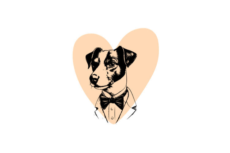 Jack Russell Terrier Herz
