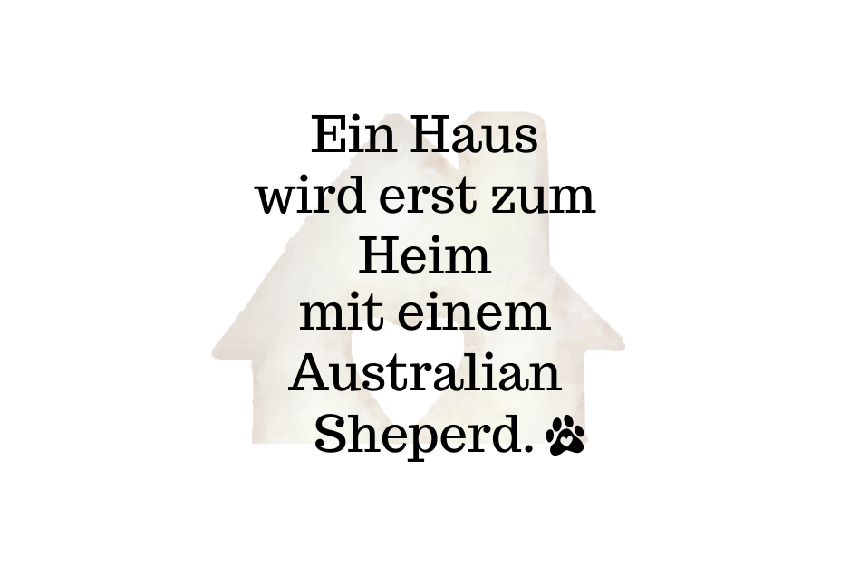 Ein Haus wird erst zum Heim mit einem Australian Sheperd.