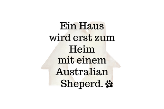 Ein Haus wird erst zum Heim mit einem Australian Sheperd.