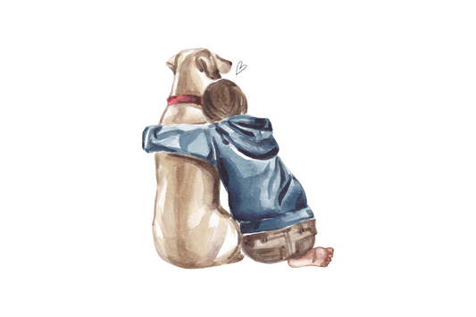 Labrador Retriever
