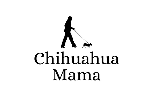 Chihuahua Mama
