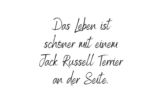 Das Leben ist schöner mit einem Jack Russell Terrier an der Seite.