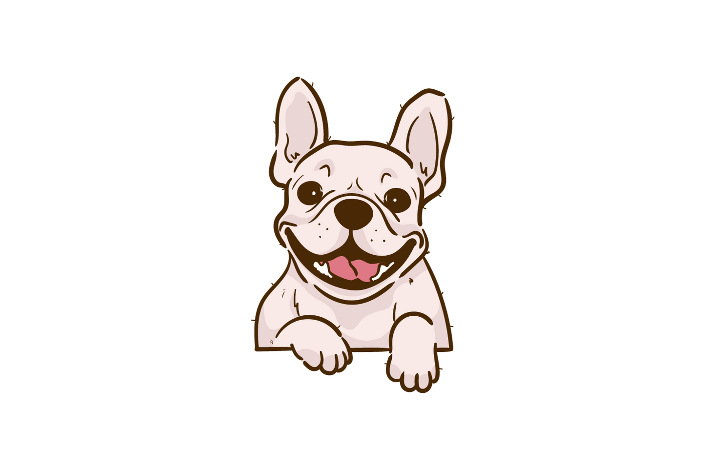 Französische Bulldogge lächelnd