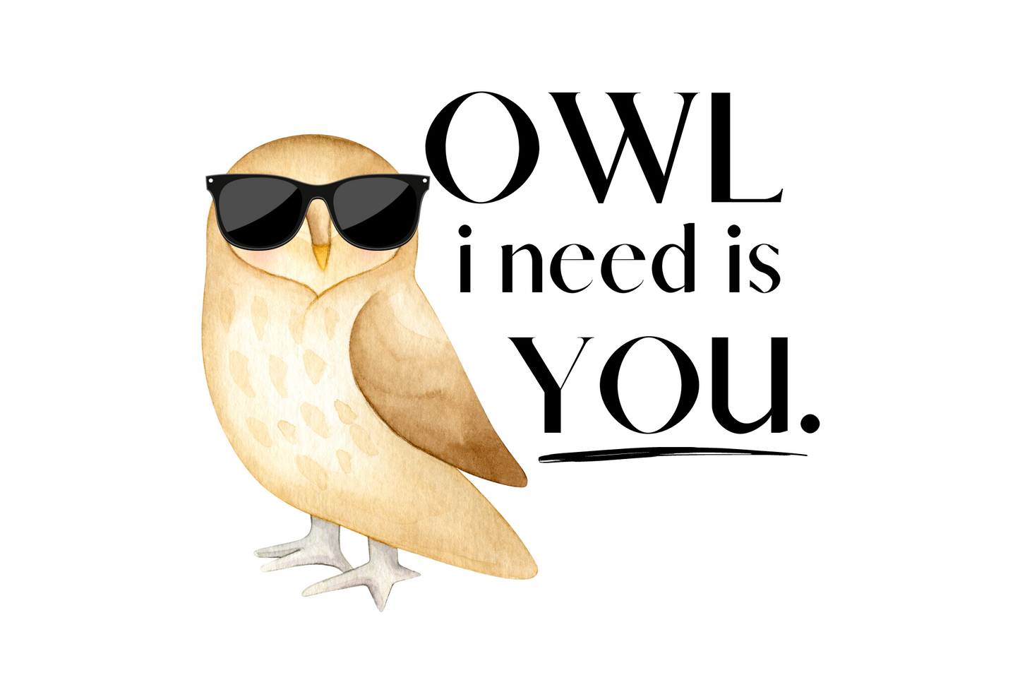 OWL i need is you.